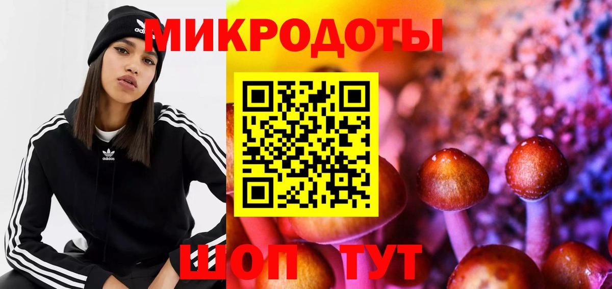 Галлюциногенные грибы мицелий  Вход с VPN  купить закладку  Тайшет 